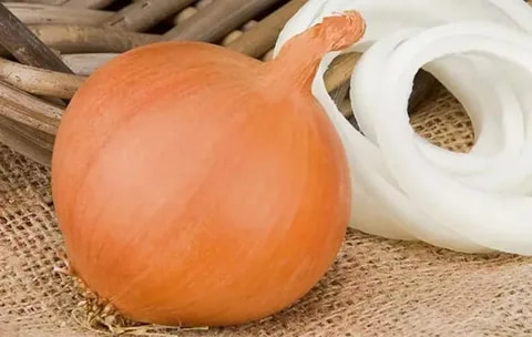 تصویر 2 از قیمت خرید پیاز طلایی درجه 1 صادراتی  عمده به صرفه و ارزان